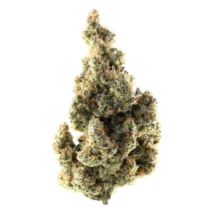 Demecan CR Lean Drop 22:01 – White Fondant – Produktbild des Anbieters Dr. Ansay