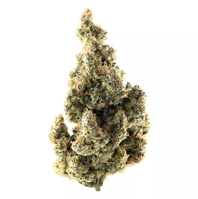 Demecan CR Lean Drop 22:01 – White Fondant – Produktbild des Anbieters Dr. Ansay