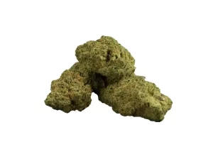 madrecan 21/1 – Granddaddy OG – Produktbild des Anbieters Dr. Ansay
