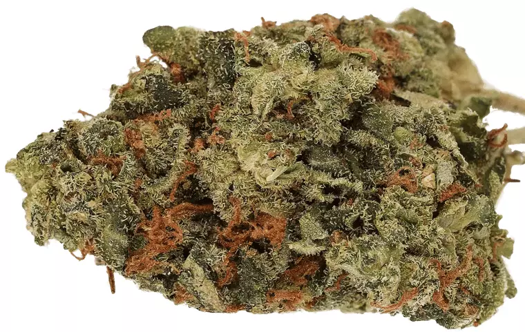 Cannamedical CM 20/1 OG Kush – OG Kush – Produktbild des Anbieters Dr. Ansay
