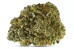 Cannabis flos 27/1 CDA Ku. Flapjacks – Flap Jacks – Produktbild des Anbieters Dr. Ansay