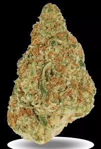 Good Supply Cannabisbluten THC28 NOB Unbestrahlt – Northern Berry – Produktbild des Anbieters Dr. Ansay