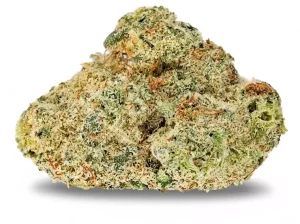 Edelweiss Zkittlez PCG TBF 20/1 – Edelweiss Zkittlez – Produktbild des Anbieters Dr. Ansay