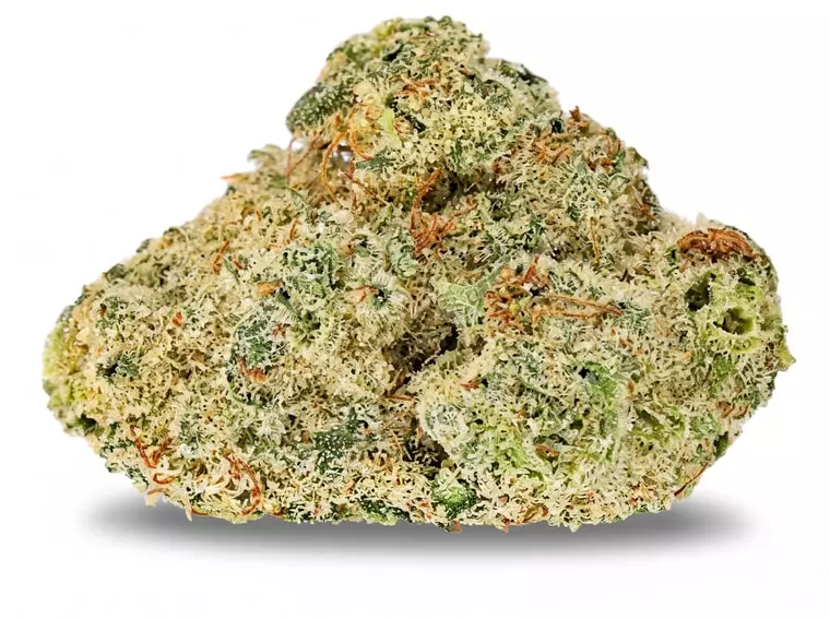 Edelweiss Zkittlez PCG TBF 20/1 – Edelweiss Zkittlez – Produktbild des Anbieters Dr. Ansay
