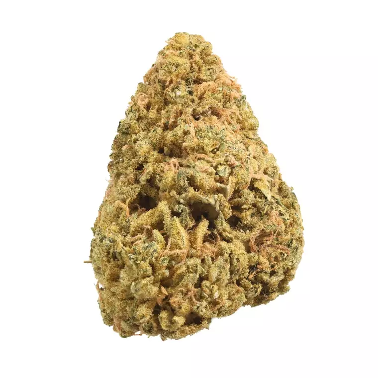 Hi Society WH 28/1 – Wedding Haze – Produktbild des Anbieters Dr. Ansay
