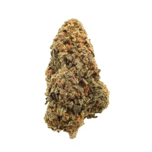 ONIT FL 20/1 – Forbidden Lolly – Produktbild des Anbieters Dr. Ansay