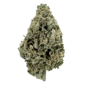 AAYRA 27/1 OGK – OG Kush – Produktbild des Anbieters Dr. Ansay