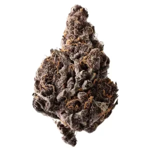 Siggis KBLT 16:1 – Siggis Kirschblüte – Produktbild des Anbieters Dr. Ansay
