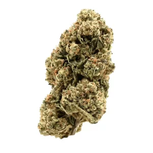 Demecan Core Golden Horizon 30:01 – Golden Goat – Produktbild des Anbieters Dr. Ansay