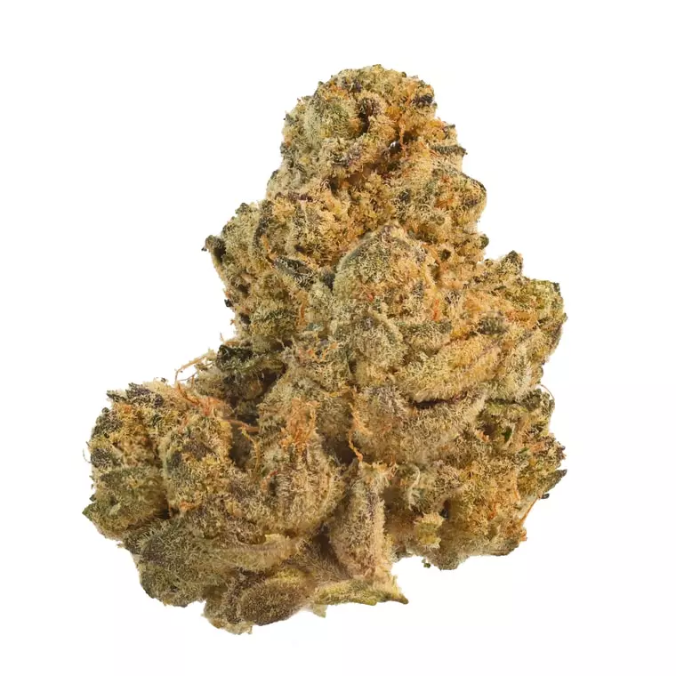 J.R. Strain GC 30/1 – Galactic Cake – Produktbild des Anbieters Dr. Ansay