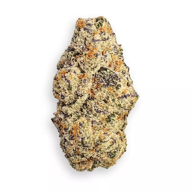 buuo 32/1 ELC – El Chivo – Produktbild des Anbieters Dr. Ansay
