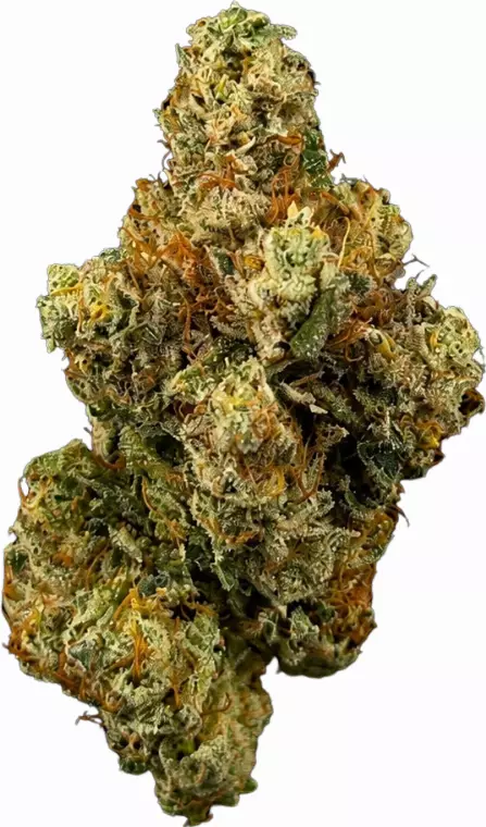 Bathera 28/1 GZ – Gelonade Z – Produktbild des Anbieters Dr. Ansay