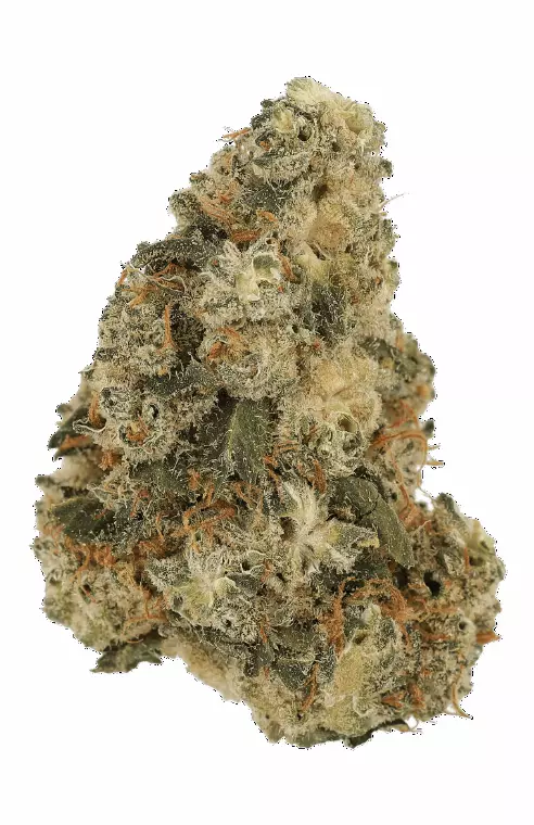 Cannamedical Sativa Classic DK – Super Lemon Haze – Produktbild des Anbieters Dr. Ansay