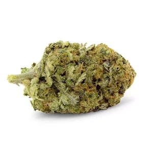 aleph amber 24/1 – Mango Kush – Produktbild des Anbieters Dr. Ansay