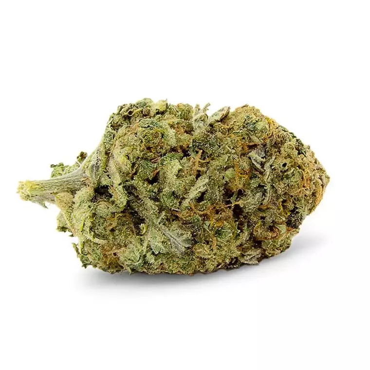 aleph amber 24/1 – Mango Kush – Produktbild des Anbieters Dr. Ansay
