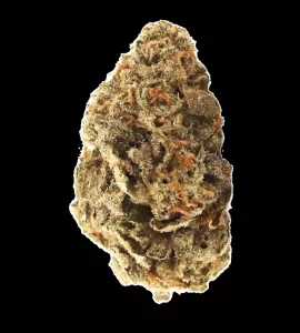 aleph fire 26/1 – Amnesia Skittlez – Produktbild des Anbieters Dr. Ansay