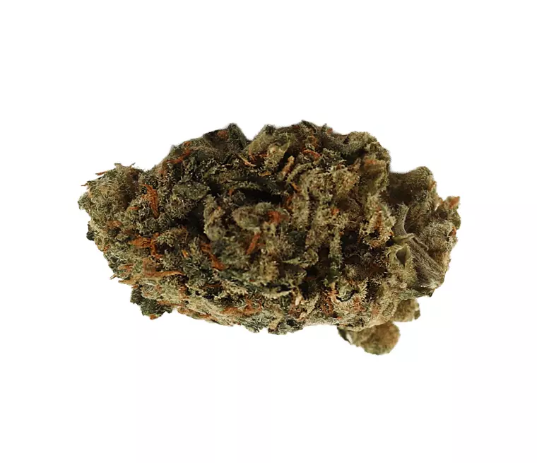 aleph water 5/13 – Amnesia Balanced – Produktbild des Anbieters Dr. Ansay