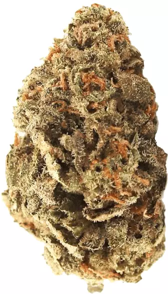aleph Fire 30/1 – Amnesia Skittlez – Produktbild des Anbieters Dr. Ansay