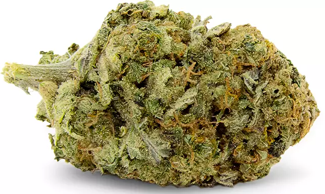 aleph amber 22/1 – Mango Kush – Produktbild des Anbieters Dr. Ansay
