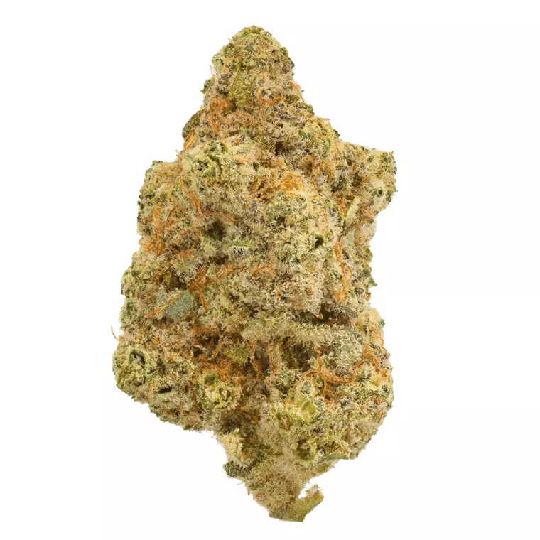 All Nations DK 27/1 – Diamond Kush – Produktbild des Anbieters Dr. Ansay