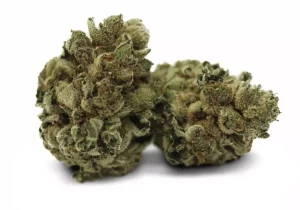 PHENO Cannabisblüten 25/1 VSL – Vanilla Spice Latte – Produktbild des Anbieters Dr. Ansay