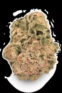 TILRAY Cannabisblüten THC25 Hybrid No.4 – Galaxy Walker OG – Produktbild des Anbieters Dr. Ansay