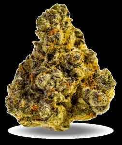 AphriaRX Cannabisblüten THC30 PPV – Platinum Pave – Produktbild des Anbieters Dr. Ansay