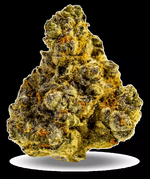 AphriaRX Cannabisblüten THC30 PPV – Platinum Pave – Produktbild des Anbieters Dr. Ansay