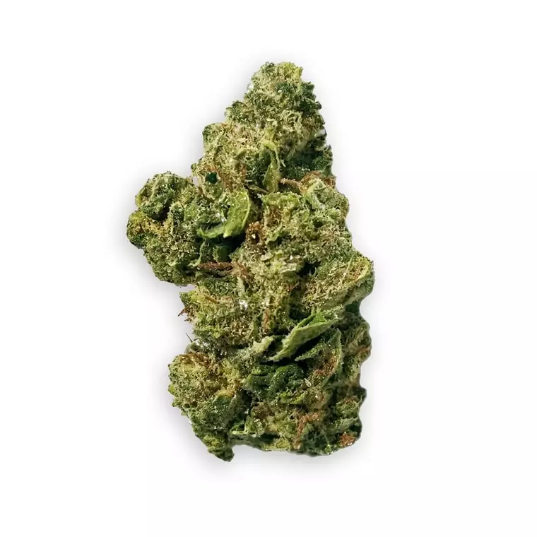 Coyote Valley 20/1 NP – Needle Point – Produktbild des Anbieters Dr. Ansay