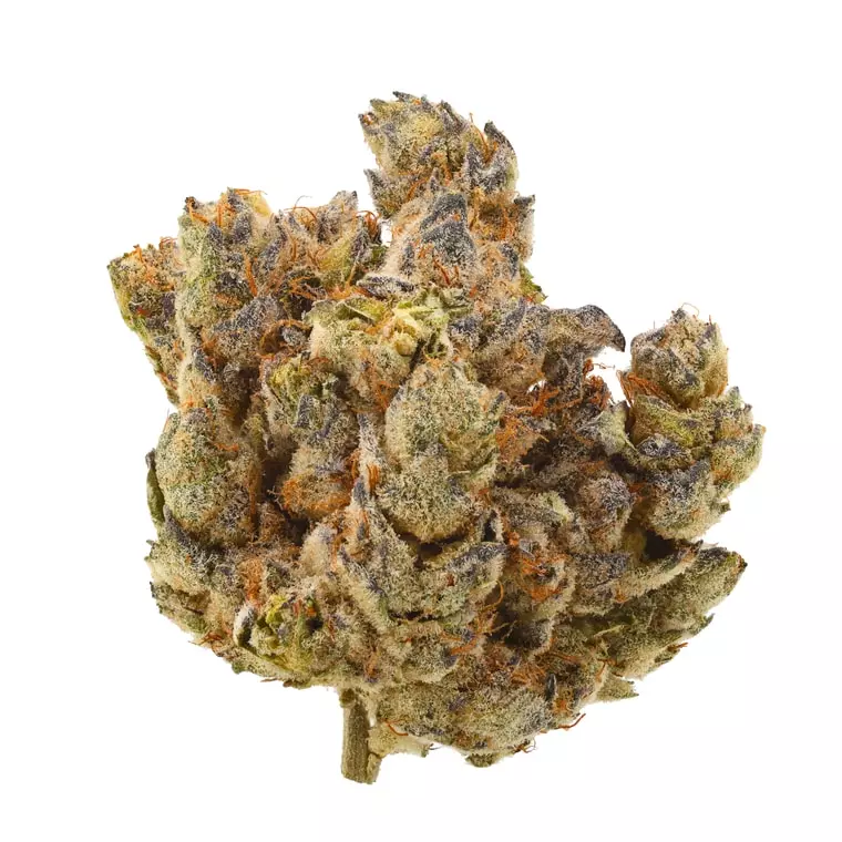 J.R. Strain MM 31/1 – Mandarin Mac – Produktbild des Anbieters Dr. Ansay