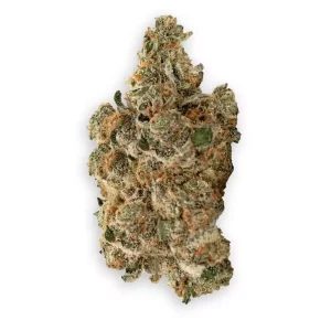 buuo 28/1 MB – Meatbreath – Produktbild des Anbieters Dr. Ansay