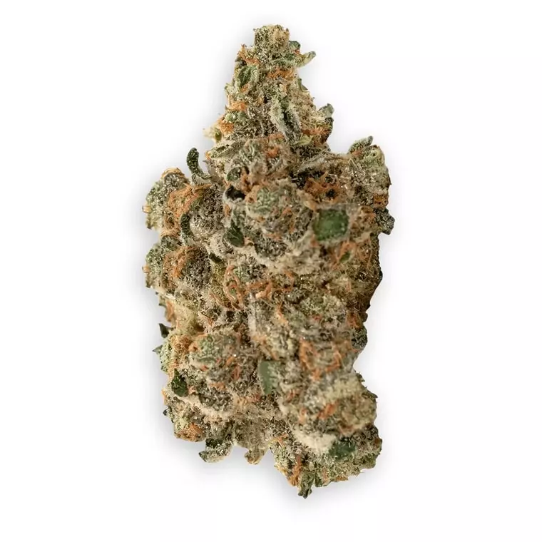 buuo 28/1 MB – Meatbreath – Produktbild des Anbieters Dr. Ansay