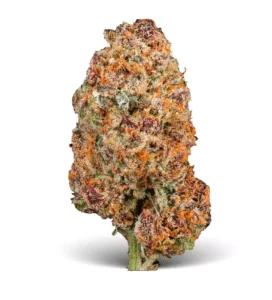 AMP ACT-GM TCG THC 20 – Trop Cherry Gas – Produktbild des Anbieters Dr. Ansay