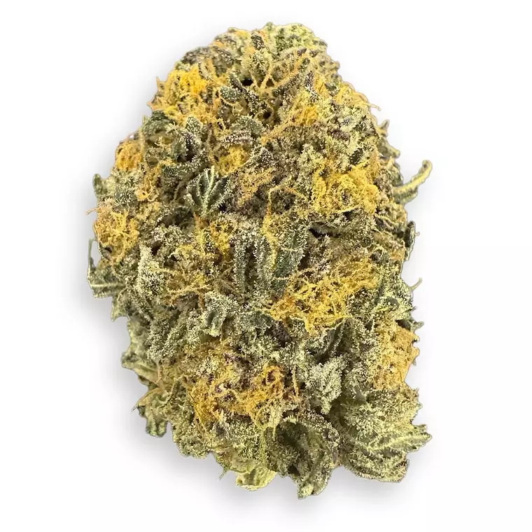 Supreme 20/1 MCH – Mochi – Produktbild des Anbieters Dr. Ansay