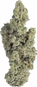 Soma OG 34/1 PF Cap Junky – Cap Junky – Produktbild des Anbieters Dr. Ansay