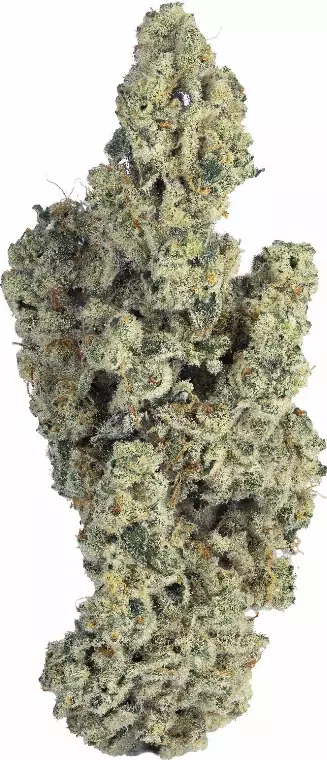 Soma OG 34/1 PF Cap Junky – Cap Junky – Produktbild des Anbieters Dr. Ansay