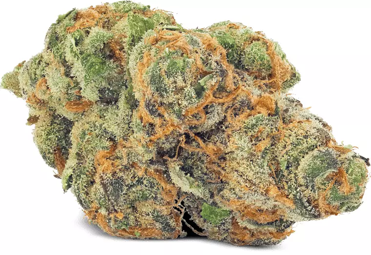 Daily Special 25/1 FUN – Funky Berry – Produktbild des Anbieters Dr. Ansay