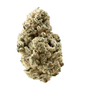 Siggis WLDM 28:01 – Siggis Waldmeister – Produktbild des Anbieters Dr. Ansay