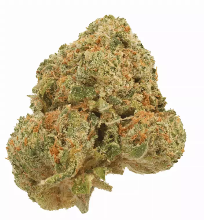 All Nations LT 30/1 – Lemon Tartz – Produktbild des Anbieters Dr. Ansay