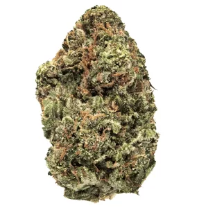 Canopy JHA 21 – Jack Haze – Produktbild des Anbieters Dr. Ansay