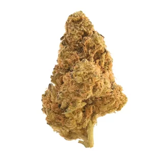 Origine Nature MED 32/1 – Medellín – Produktbild des Anbieters Dr. Ansay