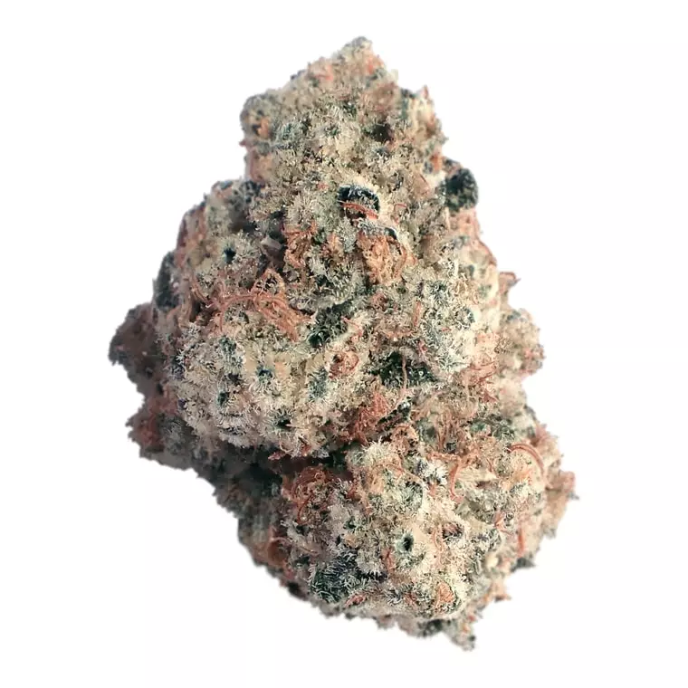 MC Regular Drop – Royal Cake – Produktbild des Anbieters Dr. Ansay