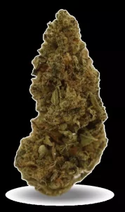 Good Supply Cannabisblüten THC15 SPC – Space Cake – Produktbild des Anbieters Dr. Ansay