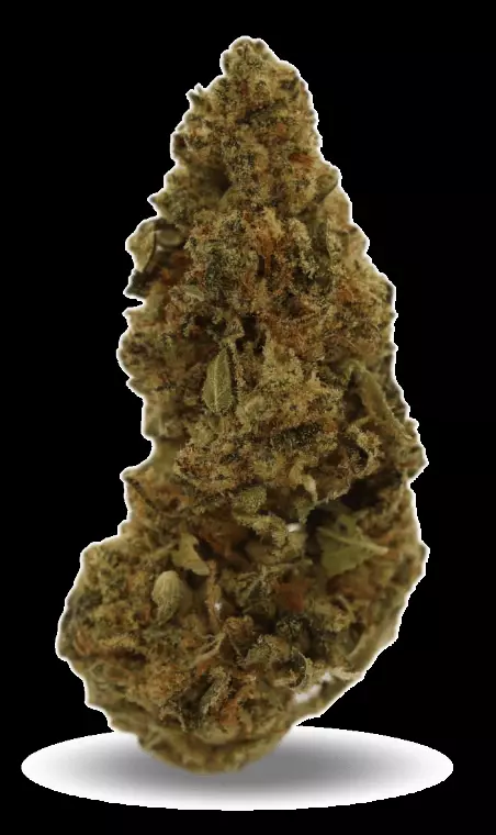 Good Supply Cannabisblüten THC15 SPC – Space Cake – Produktbild des Anbieters Dr. Ansay