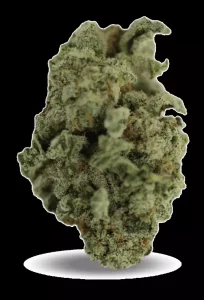 Tilray THC18 Spotlight Porto – Blueberry – Produktbild des Anbieters Dr. Ansay