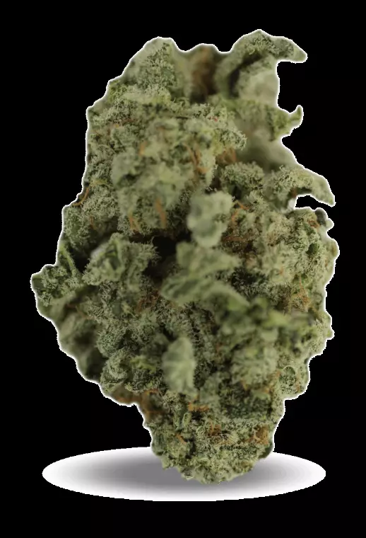 Tilray THC18 Spotlight Porto – Blueberry – Produktbild des Anbieters Dr. Ansay