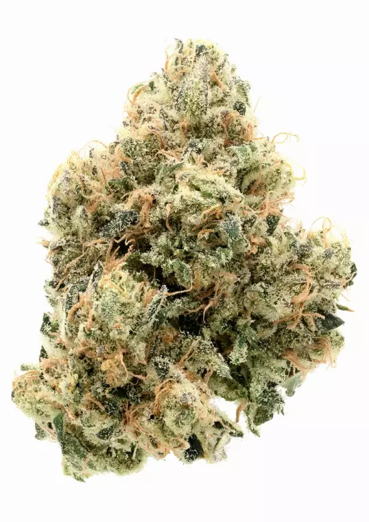 CherryCo THC 25 Indica – Exodus Mimosa – Produktbild des Anbieters Dr. Ansay