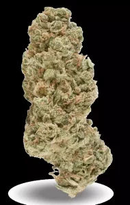 PHENO Cannabisblüten 22/1 WGT – White Gelato – Produktbild des Anbieters Dr. Ansay
