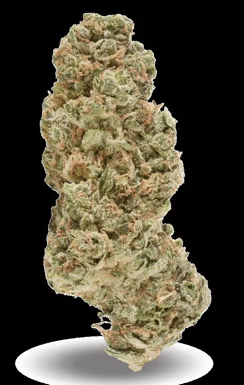 PHENO Cannabisblüten 22/1 WGT – White Gelato – Produktbild des Anbieters Dr. Ansay