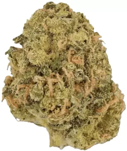 Cannamedical CM 28/1 Sour – Sour Pie – Produktbild des Anbieters Dr. Ansay